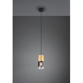 Trio Leuchten Trio Leuchten Pendelleuchte Robin 310600154, Metall Messing matt, Glas rauchfarbig, exklusiv 1x E27