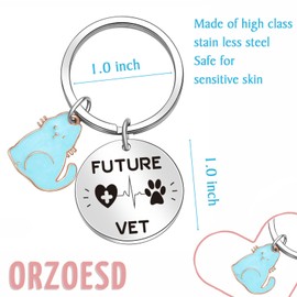 ORZOESD Veterinarian Gifts Veterinary Receptionist Gifts Vet Graduation Jewelry Veterinary Jewelry Vet Assistant Accessories Veterinary Practitioner Gift Animal Medical Keychain