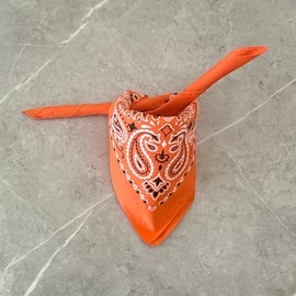 The Peacock Crew 10 Pack Orange Bandanas in Premium Soft Cotton for Men and Women