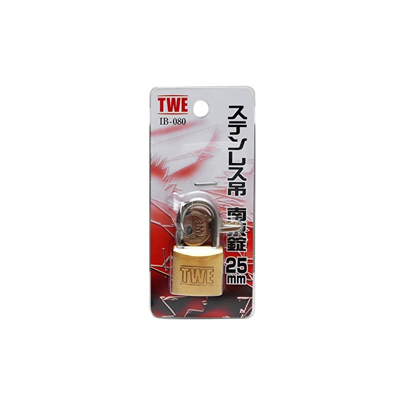 AIAI TWE Stainless Steel Hanging Lock 25MM Security Storage Shed