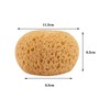 4 Pack Knockdown Texture Sponge Drywall Texture Sponge Wall Patch