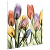 Empire Art Direct Tulip Scape X-Ray I Flower Wall Art