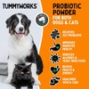 TummyWorks Probiotic Powder for Dogs & Cats. Probiotics For Digestive