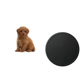 Set Of 4 Toy Poodle Dog Brown Family Pet Synthetic Leather Round Coasters And Gift Box