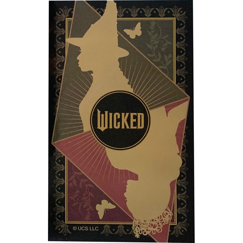 Wicked Two Witches Envelope Case IG4535