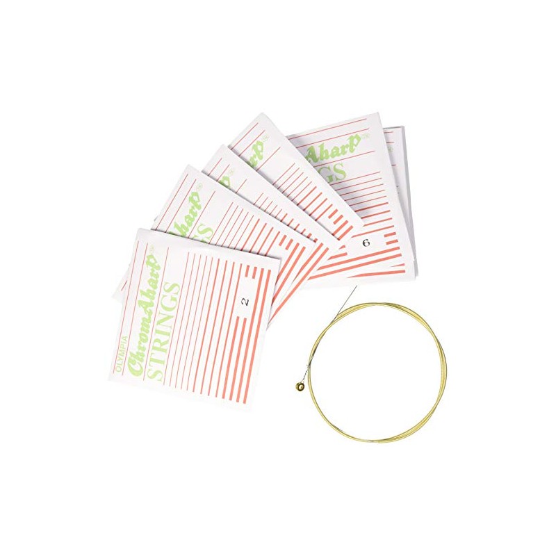 Ashbury AAS-1 Autoharp Low String Pack