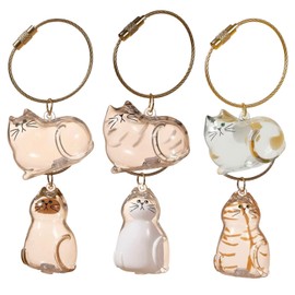 WORUIB 6PCS Cat Memorial Gifts,cat Keychain,Transparent Pet Fur & Whisker Storage Keepsake,storing Memories for Sad Cat Owners,suitable for Those Who Have Lost Their Pets.