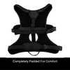 Snootiful Hound Sighthound Harness for Greyhounds, Whippets and Lurchers -