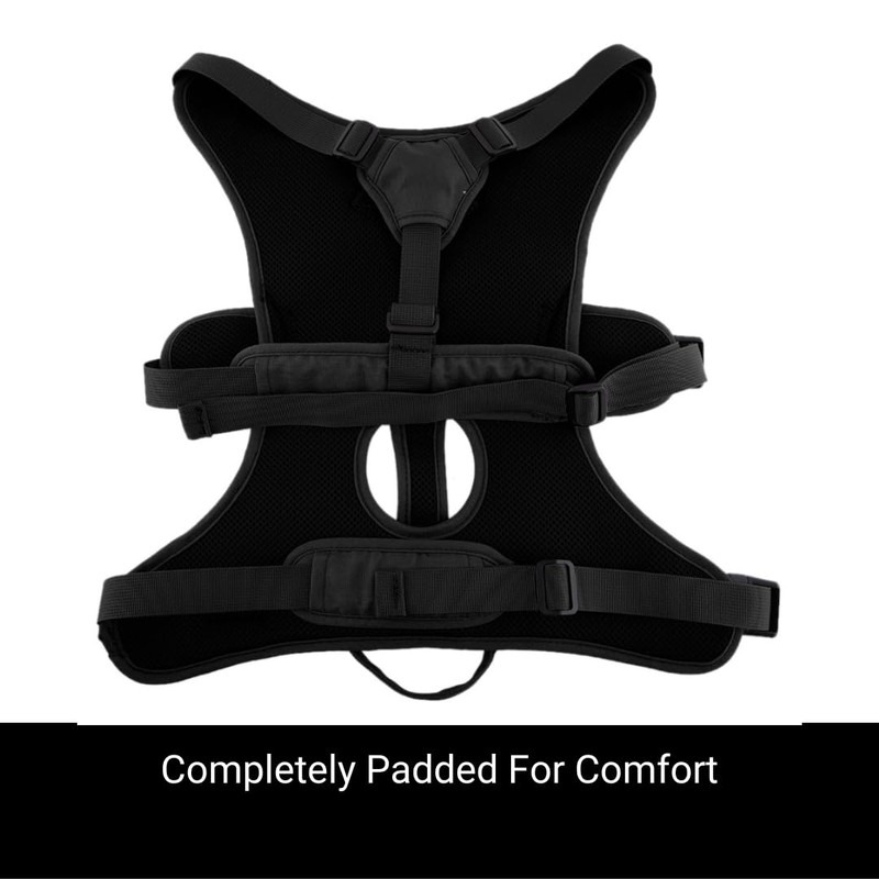 Snootiful Hound Sighthound Harness for Greyhounds, Whippets and Lurchers -