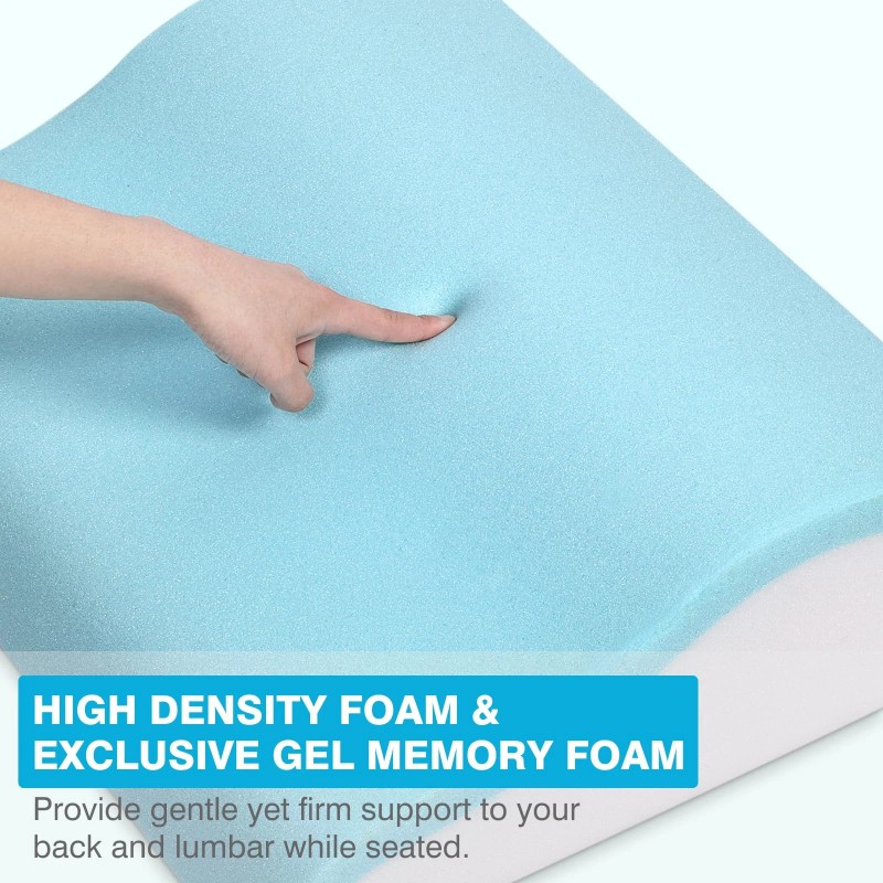 Tanyoo Back Support Pillow for Recliner Dual Layer Lumbar Support