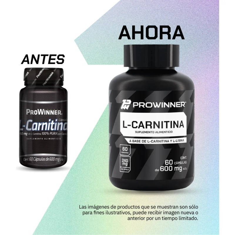 Suplemento L- Carnitina (240 Mg) (60 Caps) Prowinner Sin Sabor