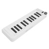 MIDI Keyboard Controller 25 Force Sensitive Keys 1 Assignable Knob