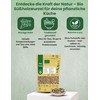 OmVeda Organic Licorice Root Cut | Liquiritiae Radix Nat. Conc.
