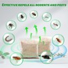 Mouse Repellent Pouches - 10 Packs, Natural Repellent Keep Rodent