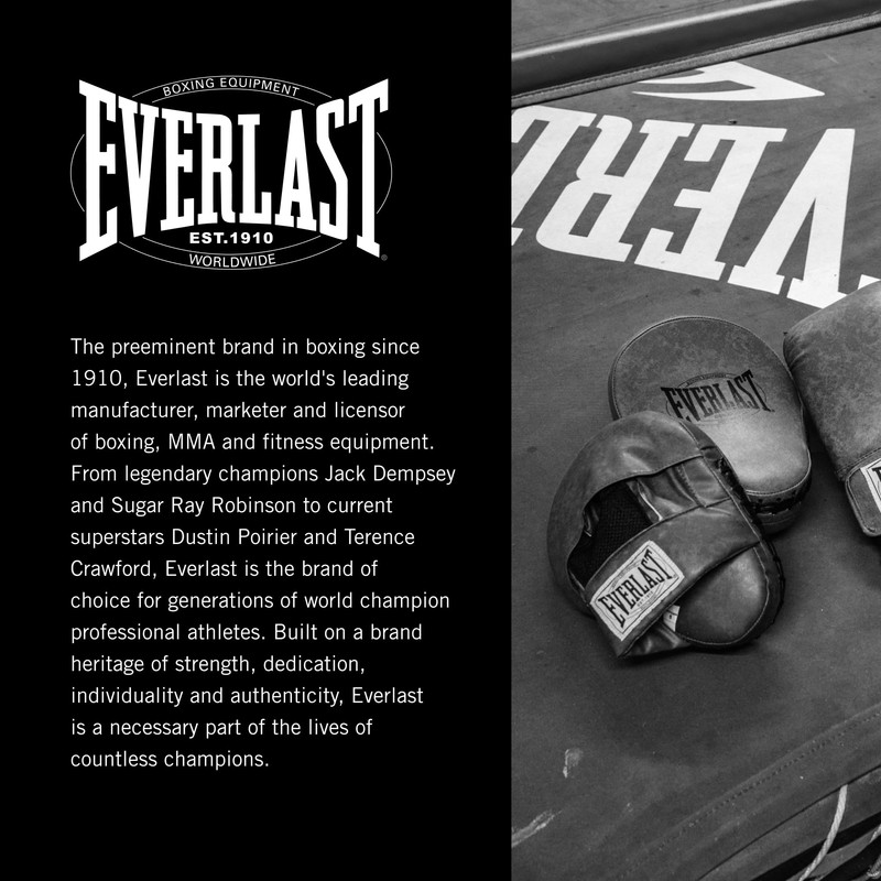 Everlast 1910 Leather Focus Mitts Vintage Training Boxing Gloves