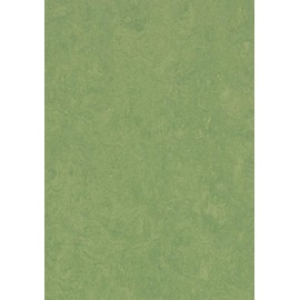 Forbo Marmoleum Click Cinch LOC Seal Waterproof Seal 333260 Leaf 12" x 12" Linoleum Tile Flooring (6.7 SF/Box)