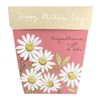SOW 'N SOW Gift of Seeds - different styles, Poppy