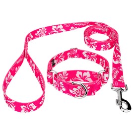 Country Brook Petz - Pink Hawaiian Martingale Dog Collar and Leash - Summer Breeze Collection Featuring Sunny Designs (3/8 Inch, Micro)