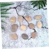TEHAUX 10 Pack Hand Painted Stones Set with Bracket Kids