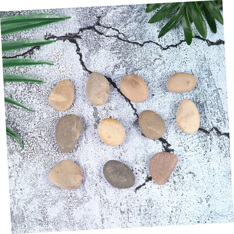 TEHAUX 10 Pack Hand Painted Stones Set with Bracket Kids