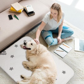 Biloban Waterproof Dog Beds for (Large) Dogs, Washable Dog Bed Mat Pad or Pet Bed, Memory Foam Dog Beds & Furniture for Small/Medium Large/XL/XXL Dogs with Removable Cover (Light Grey)