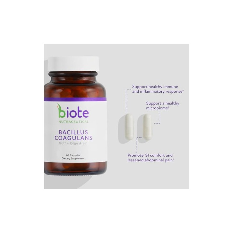 Bacillus Coagulans de BioTE Medical