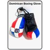 Dominican Boxing gloves flags for car accessories Dominican Republic flag