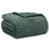 Serenhom Soft Cozy Fuzzy Fleece Throw Blanket, Waffle Bronze Green,