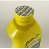 Rain Dance Caranuba Car Wash and Wax Concentrate, 22 Fl