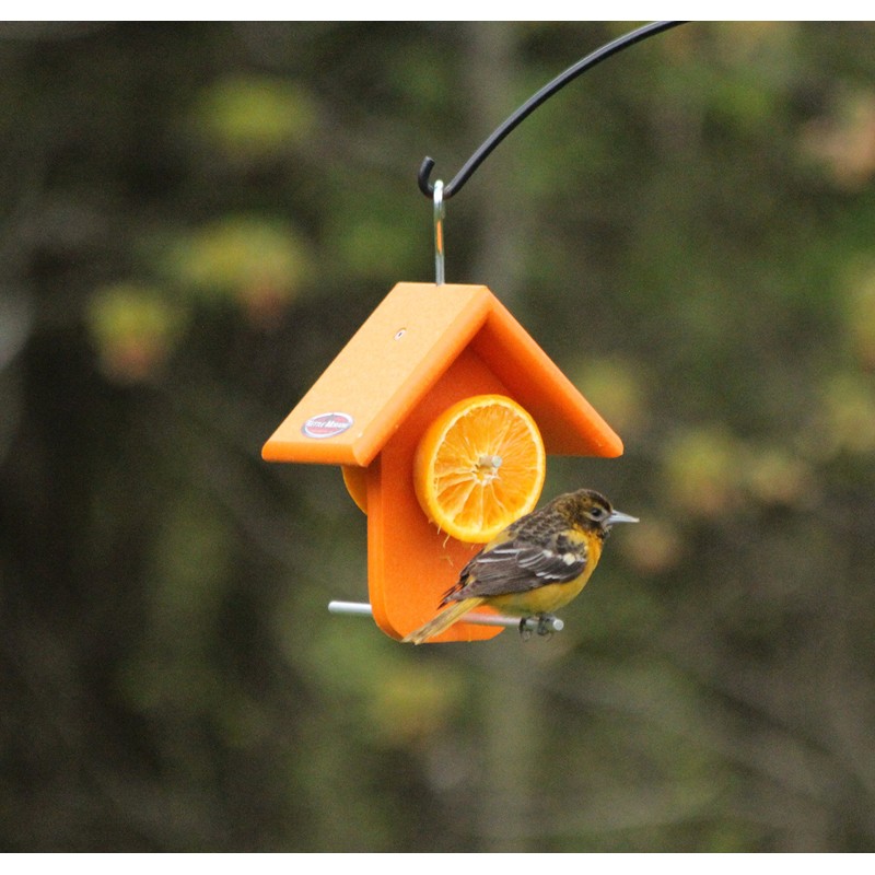 Kettle Moraine Recycled Single Oriole Orange Fruit Feeder