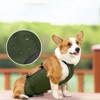 Large Dog Belly Band Waterproof Breathable Full Protection Easy to