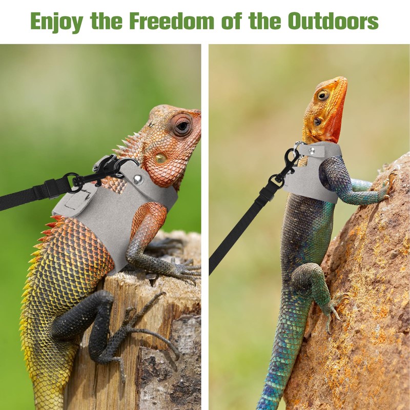 Fnaobai Bearded Dragon Harness Leash Set 3 Size Adjustable Lizards