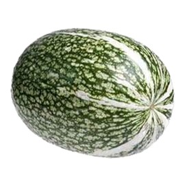 Squash Seeds, Winter - Shark Fin Squash Gom Bo - 4 Oz ~500 Seeds - Non-GMO, Heirloom - Asian Garden Vegetable