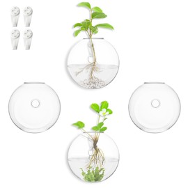 Plant Propagation Station Wall Hanging Planter -Clear Glass Terrarium Vasesfor Hydroponics, Oblate Shape Flower Wall Vase,Garden Decorations,Home & Office Decor Gift(4PCS)