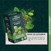 Sri Gardens Tea Green Tea Peppermint Tea Bags, 20 count