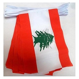 AZ FLAG - Lebanon Flag Chain 12 Metres with 20 Flags - 45 x 30 cm - Lebanese Garland Flag Chain 30 x 45 cm
