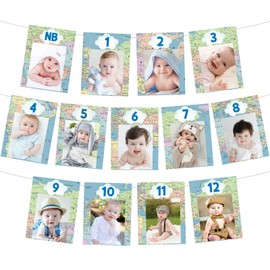 What a Onederful World 1st Birthday Decorations for Boy - Newborn to 12 Months Photo Banner, Travel Around the World Decorations, Pre-strung Travel Theme Monthly Photo Banner