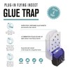 Plug-in Flying Insect Glue Trap - LED and UV Attractant