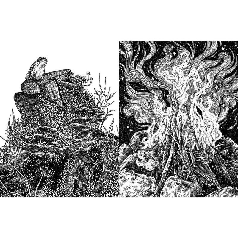 Books 15 Minute Art Pen & Ink