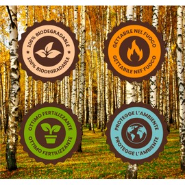 500 Disposable Birch Wood Coffee Pallets Individually Wrapped Biodegradable and Compostable Heat Resistant for Mixing Coffee and Drinks Made in Italy