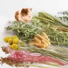 Natural Hamster Bedding Edible Flowers Herbs Sprays for Edible Grain