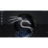 Kali Linux Full Latest Version 2025 on bootable USB- Cybersecurity