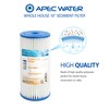 APEC Water Systems CB1-SED10-BB Whole House Sediment Water Filter 10"