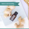 Nature's Fusions Ginger Root, 100% Pure and Natural Essential Oils,