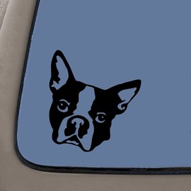 CMI NI922 Boston Terrier Head Decal | 5.5 Inches by 5 Inches | Premium Quality Black Vinyl Decal