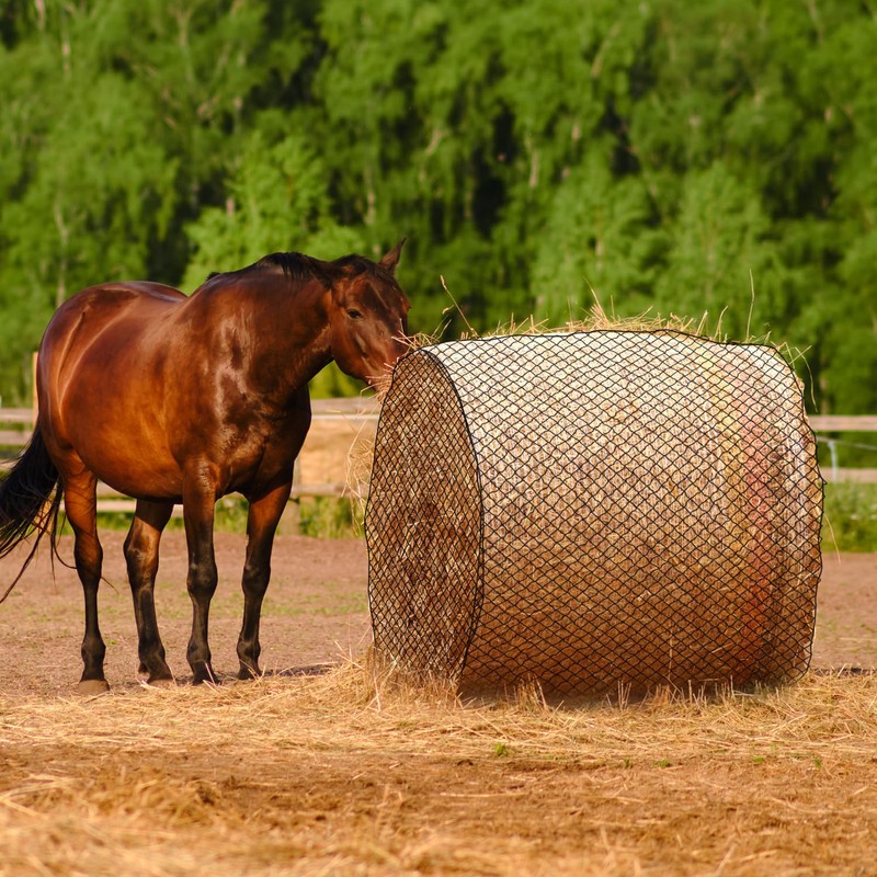 Dayimado Large Round Bale Hay Net, 6x6 Ft Sturdy Hay