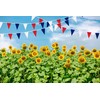 100 Ft Red Dark Blue and White String Flags Pennant