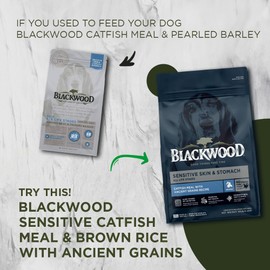 Blackwood Sensitive Skin & Stomach Dry Dog Food, Catfish Meal & Brown Rice with Ancient Grains, 24 Pound Bag with Prebiotics & Probiotics to Promote Gut Health