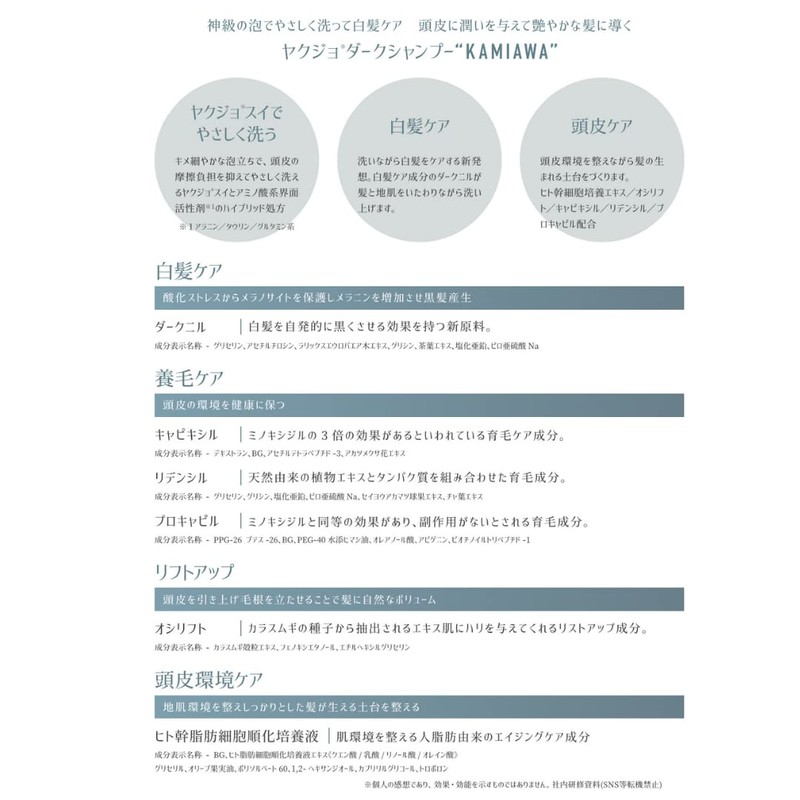 Yakujo Dark Shampoo KAMI AWA 16.9 fl oz (500 ml)