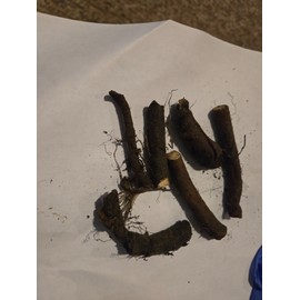 Roots Bocking #4 strain of Russian COMFREY Root Cuttings Non-invasive FREE SHIPPING